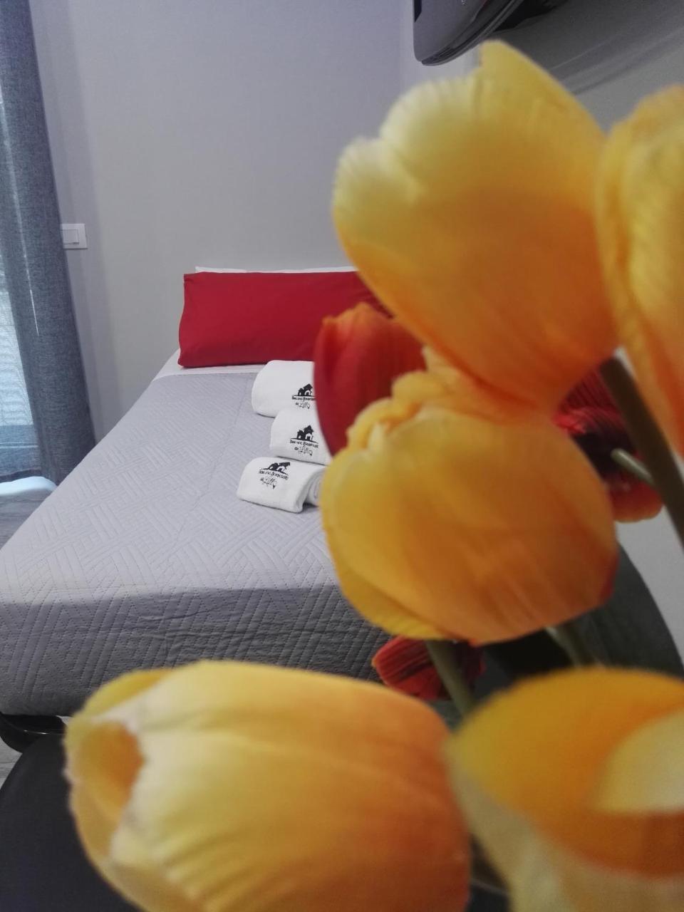 B&B Da Lillo Φροζινόνε Εξωτερικό φωτογραφία